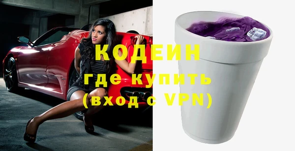хмурый Карпинск