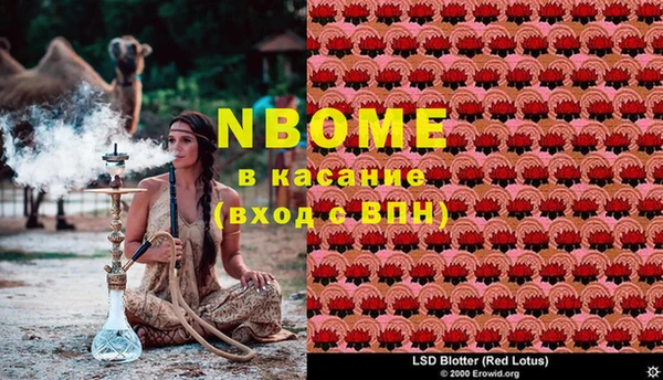 spice Каменногорск