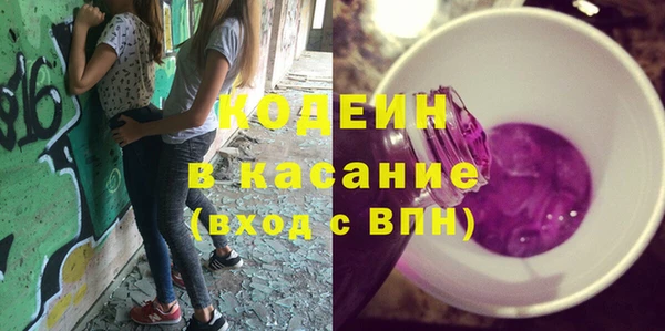 хмурый Карпинск