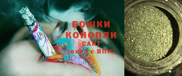 хмурый Карпинск