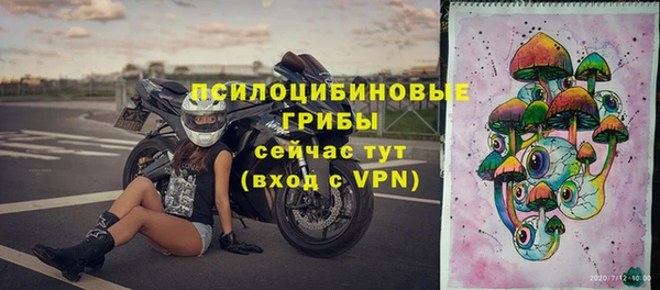 spice Каменногорск