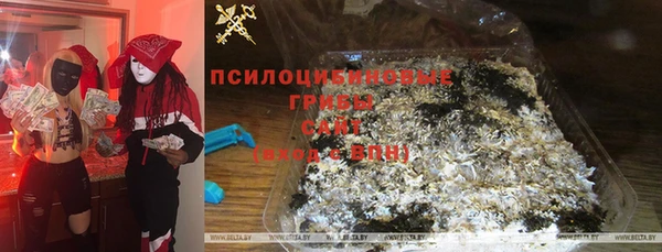 хмурый Карпинск