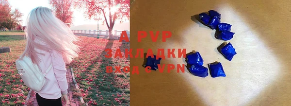хмурый Карпинск