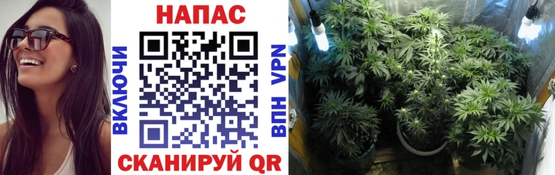 Купить  Куртамыш  Канабис OG Kush 